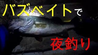 【秋】バズベイト、夜釣りで粘って５０アップ【バス釣り】