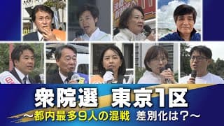 ＜衆院選2024＞東京1区　都内最多9人の混戦に…存在感を示せるか？差別化は？