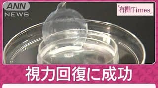 世界初“iPS角膜シート”で変わる未来