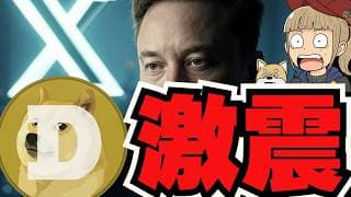 2025年！DOGEとビットコインに革命来るか／XRP,SOL,ETH最新情報