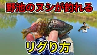 ギルフラットのデカバスが釣れるセッティング。