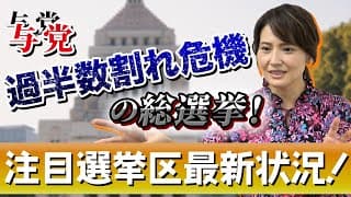 いよいよ投票日直前！衆議院議員総選挙の最新動向をチェック！