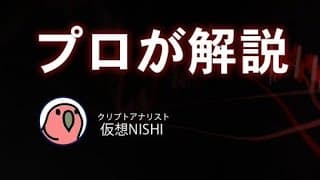 ビットコイン・アルト大暴落　背景と今後の見通し【仮想NISHI】