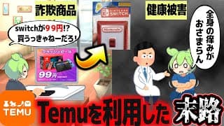 Temuを利用するとどうなるか知ってる？【ずんだもん解説】