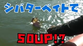 【バス釣り】シバターベイトで50UP!?