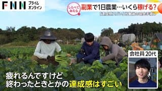 時給１万円超も！副業でいくら稼げる？【しらべてみたら】