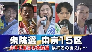 ＜衆院選2024＞東京15区　選挙区内で相次いだ不祥事…今年2回目の衆院選