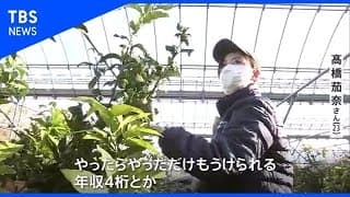 ｢もうかる農業｣に若者が続々 ｢年収1000万円目指す｣持続可能な食料生産